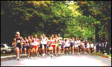 10k start