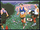 david osmond - mountain runner (50k)